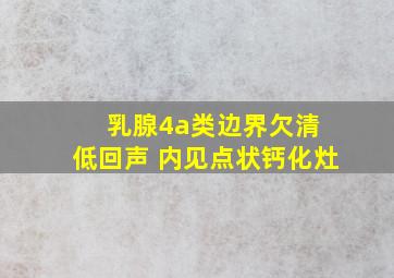 乳腺4a类边界欠清 低回声 内见点状钙化灶